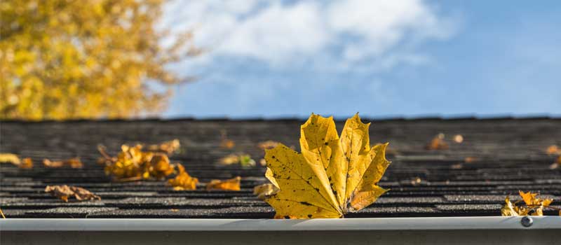 Roof Maintenance in Fort Mill, South Carolina