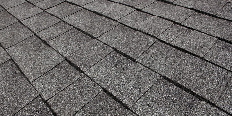 A Beginner’s Guide to Shingles