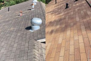 All You Need to Know About Roof Shingles